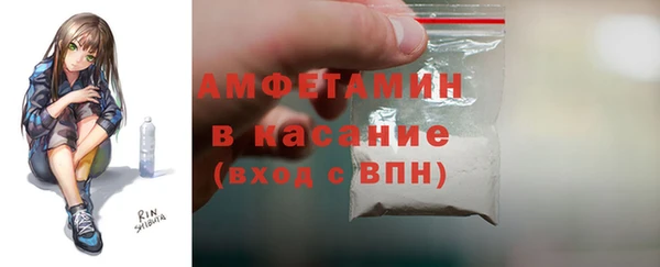 spice Бородино