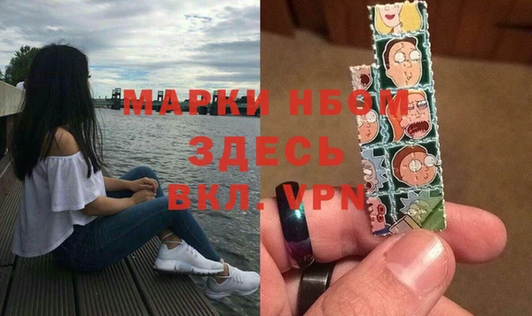 гидра Бронницы