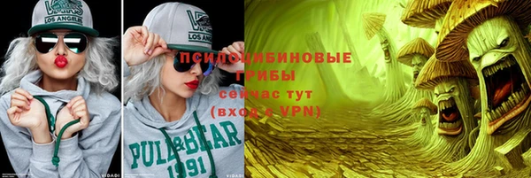 spice Бородино