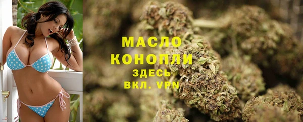 дживик Богородск