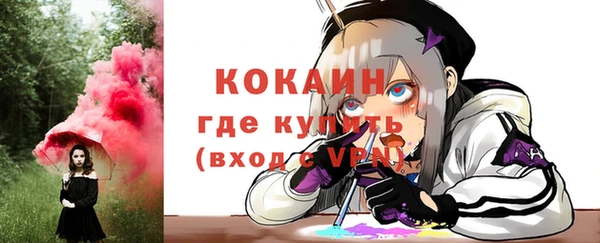 дживик Богородск