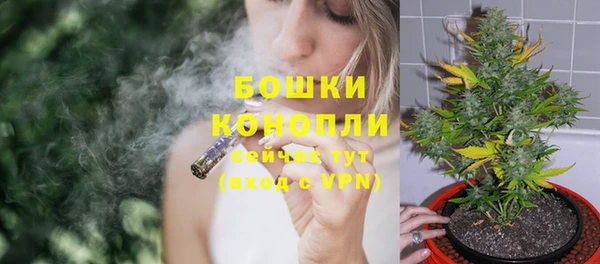 дживик Богородск
