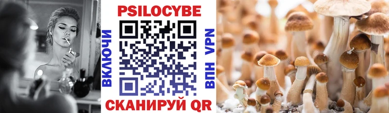 как найти закладки  Дагестанские Огни  Галлюциногенные грибы Psilocybe 